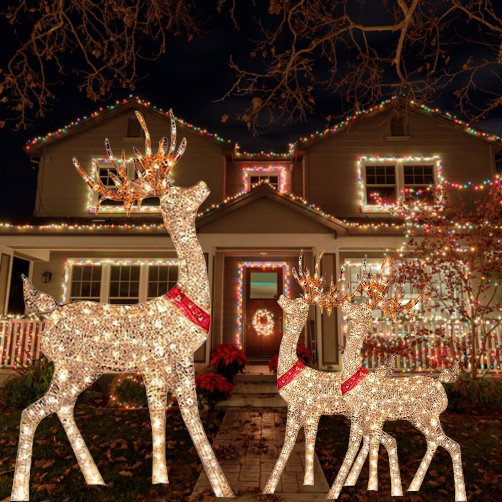 Lighted Christmas Decoration D - Outdoor Lighting Event ulasan dan harga